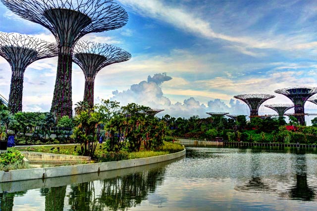The Supertree Grove at Gardens by the Bay.