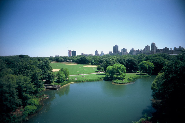 Summer in Central Park, New York