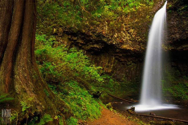 Upper Latourell Falls in Oregon, USA
