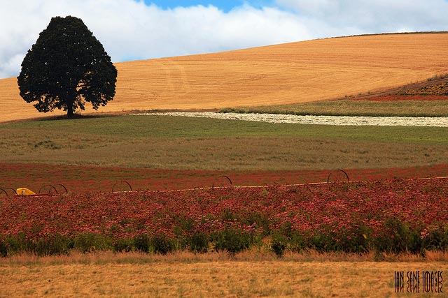 City of Silverton in the US state of Oregon