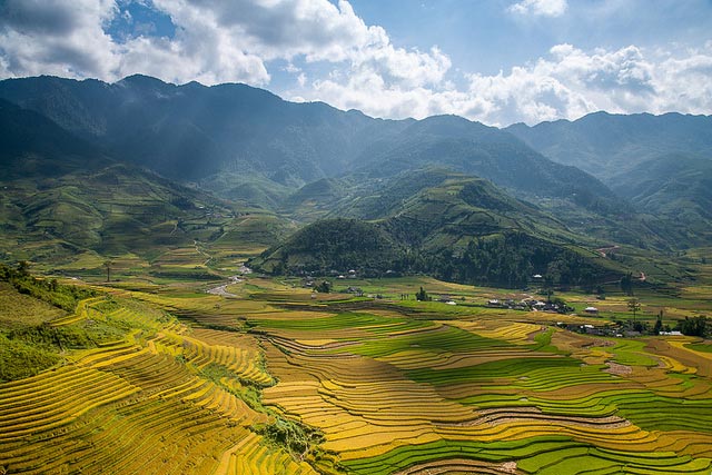 Rice Terraces in Yen Bai province, Vietnam