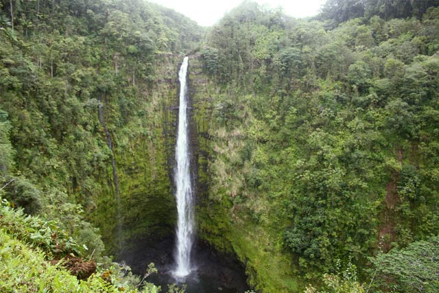 Akaka Falls in Hawaii