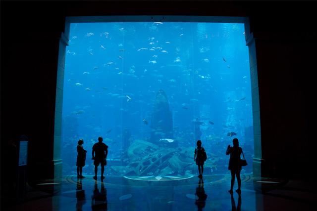 The Lost Chambers in Atlantis Hotel